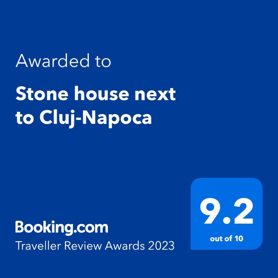 Villa Stone House Next To Cluj-napoca